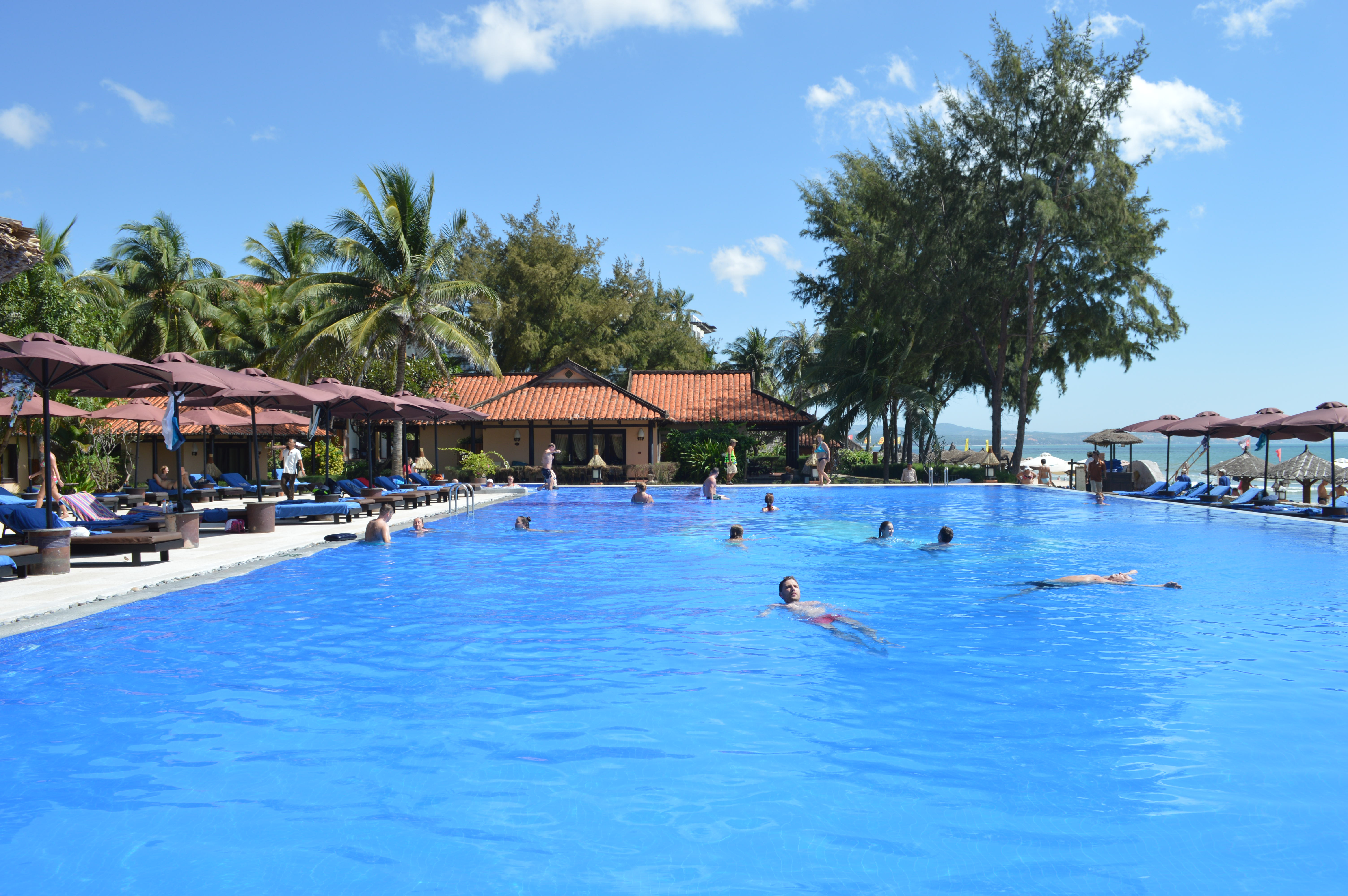 Lễ cưới và tuần trăng mật